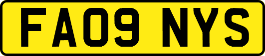 FA09NYS