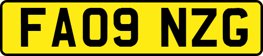 FA09NZG