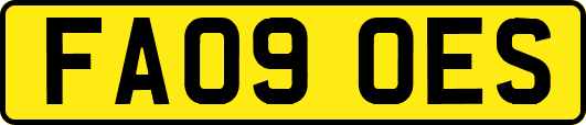 FA09OES