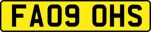FA09OHS