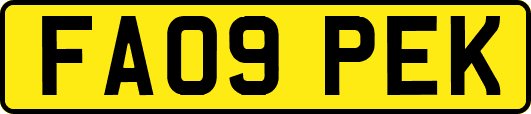 FA09PEK