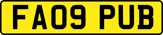 FA09PUB