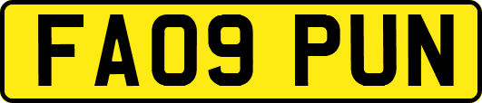 FA09PUN