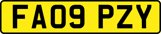 FA09PZY