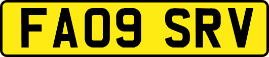 FA09SRV