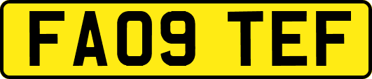 FA09TEF
