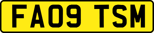 FA09TSM