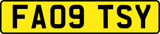 FA09TSY