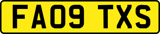 FA09TXS