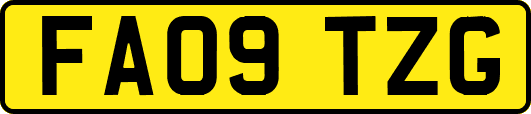 FA09TZG