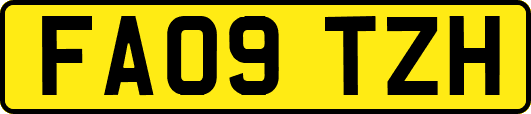 FA09TZH