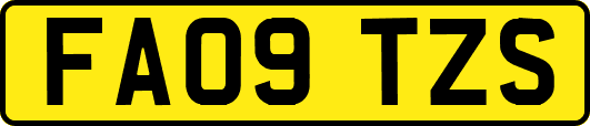 FA09TZS