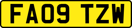 FA09TZW
