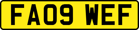 FA09WEF