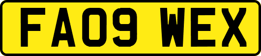 FA09WEX
