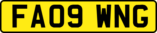 FA09WNG