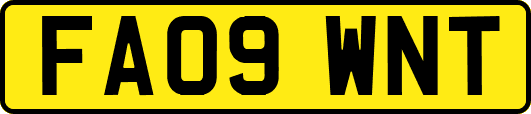FA09WNT