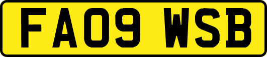 FA09WSB