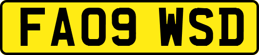 FA09WSD