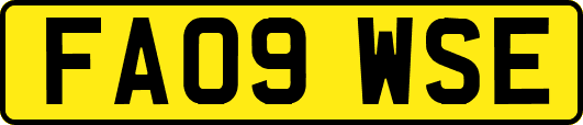 FA09WSE