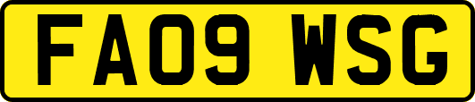 FA09WSG
