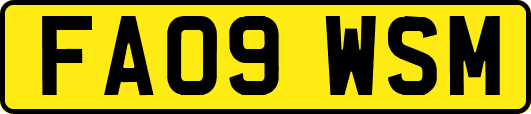 FA09WSM