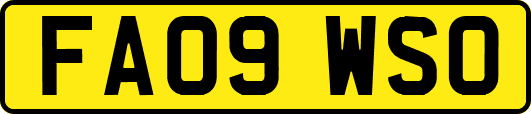 FA09WSO