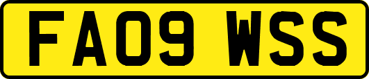 FA09WSS