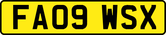 FA09WSX