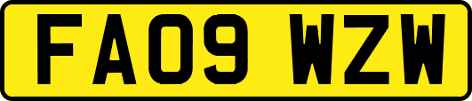 FA09WZW