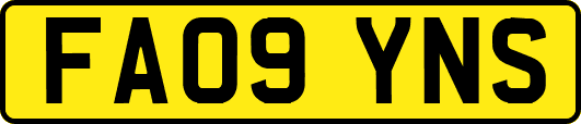 FA09YNS
