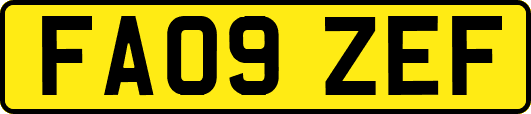 FA09ZEF