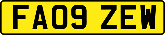 FA09ZEW