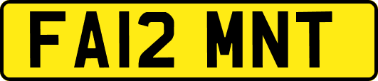 FA12MNT