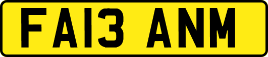 FA13ANM