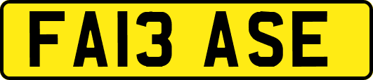 FA13ASE