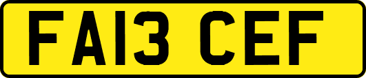 FA13CEF