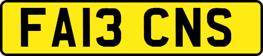 FA13CNS