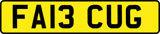 FA13CUG