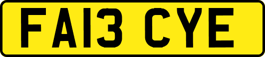 FA13CYE