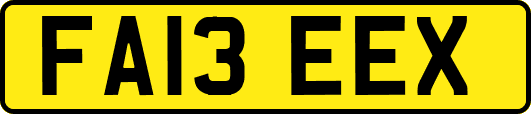 FA13EEX