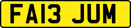 FA13JUM