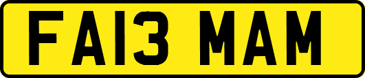 FA13MAM