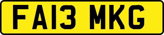 FA13MKG