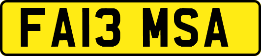 FA13MSA
