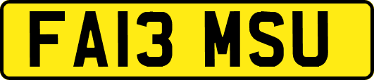 FA13MSU