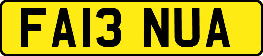 FA13NUA
