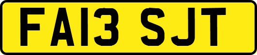 FA13SJT