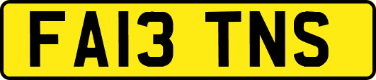 FA13TNS
