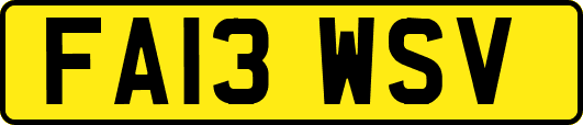 FA13WSV